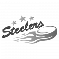 steelers_grau.png